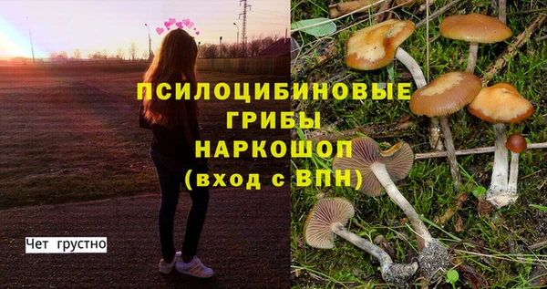 дурь Богданович